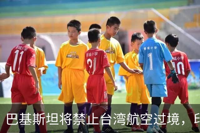 巴基斯坦将禁止台湾航空过境，印度却唱反调，中方回应了