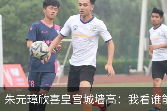 朱元璋欣喜皇宫城墙高：我看谁能越过它。刘伯温却说：燕子能飞过。46年后燕王朱棣登基